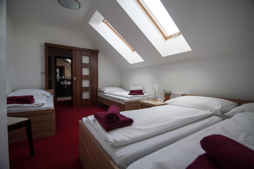 Hotel Krusnohorsky Dvur Cínovec Habitación foto